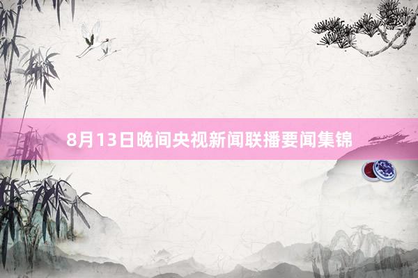 8月13日晚间央视新闻联播要闻集锦
