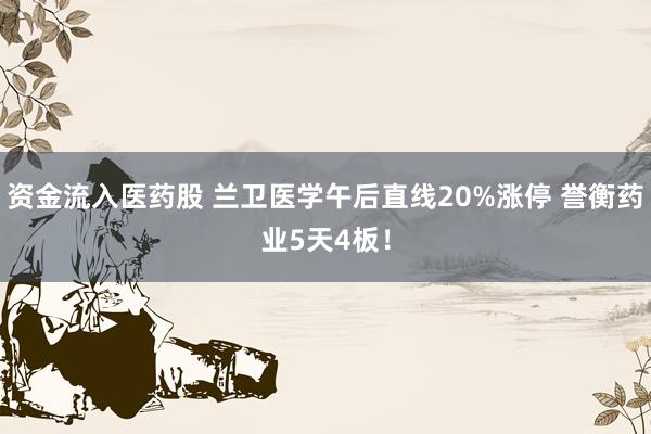 资金流入医药股 兰卫医学午后直线20%涨停 誉衡药业5天4板!