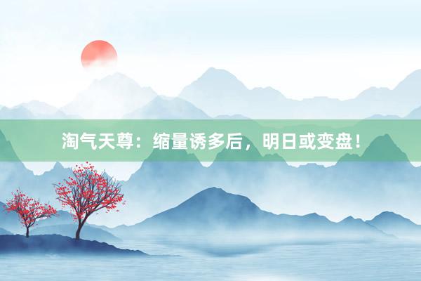 淘气天尊：缩量诱多后，明日或变盘！