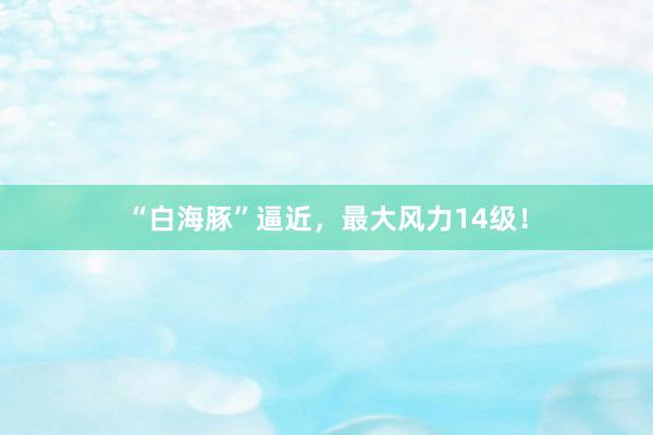 “白海豚”逼近，最大风力14级！