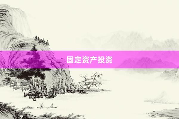 固定资产投资