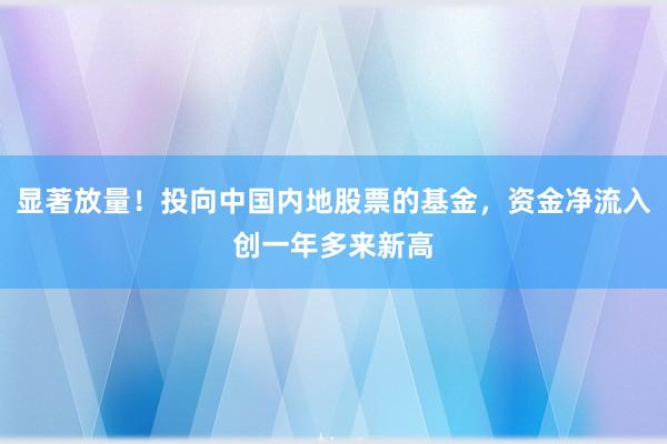 显著放量！投向中国内地股票的基金，资金净流入创一年多来新高