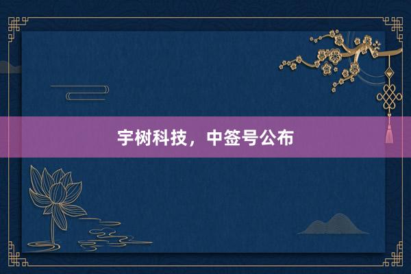 宇树科技，中签号公布