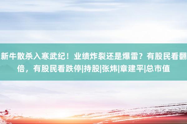新牛散杀入寒武纪！业绩炸裂还是爆雷？有股民看翻倍，有股民看跌停|持股|张炜|章建平|总市值
