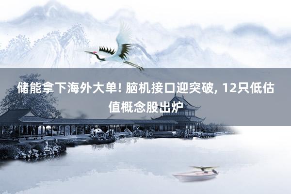 储能拿下海外大单! 脑机接口迎突破, 12只低估值概念股出炉