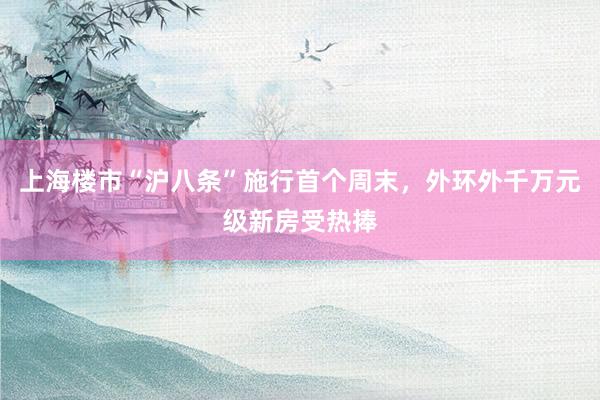 上海楼市“沪八条”施行首个周末，外环外千万元级新房受热捧