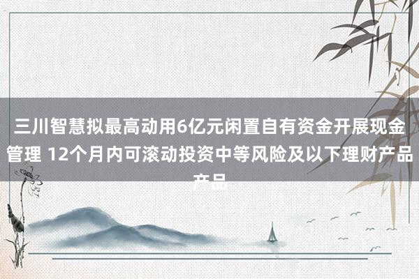 三川智慧拟最高动用6亿元闲置自有资金开展现金管理 12个月内可滚动投资中等风险及以下理财产品