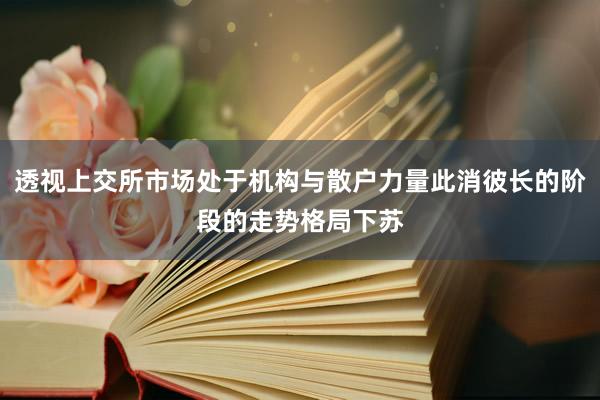 透视上交所市场处于机构与散户力量此消彼长的阶段的走势格局下苏