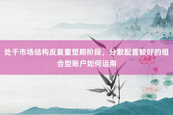 处于市场结构反复重塑期阶段，分散配置较好的组合型账户如何运用