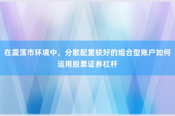 在震荡市环境中，分散配置较好的组合型账户如何运用股票证券杠杆