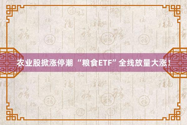 农业股掀涨停潮 “粮食ETF”全线放量大涨！
