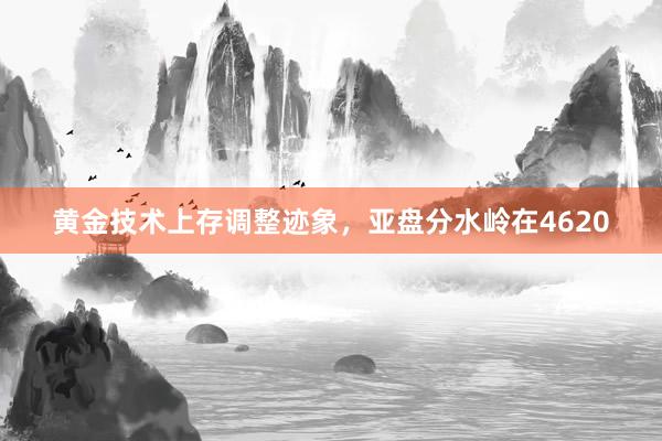 黄金技术上存调整迹象，亚盘分水岭在4620
