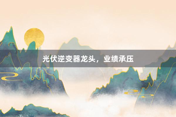 光伏逆变器龙头，业绩承压
