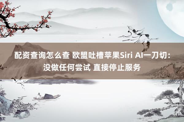 配资查询怎么查 欧盟吐槽苹果Siri AI一刀切：没做任何尝试 直接停止服务