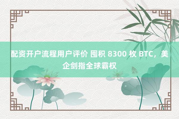 配资开户流程用户评价 囤积 8300 枚 BTC，美企剑指全球霸权