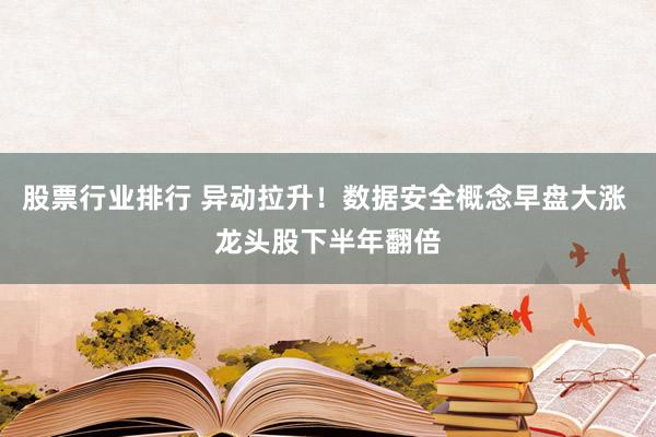 股票行业排行 异动拉升！数据安全概念早盘大涨 龙头股下半年翻倍