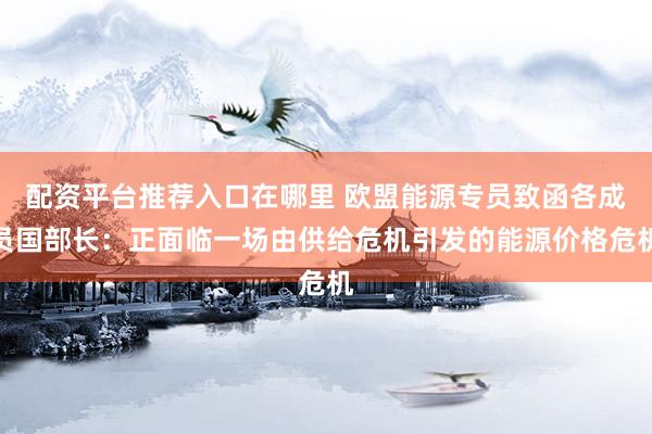 配资平台推荐入口在哪里 欧盟能源专员致函各成员国部长：正面临一场由供给危机引发的能源价格危机