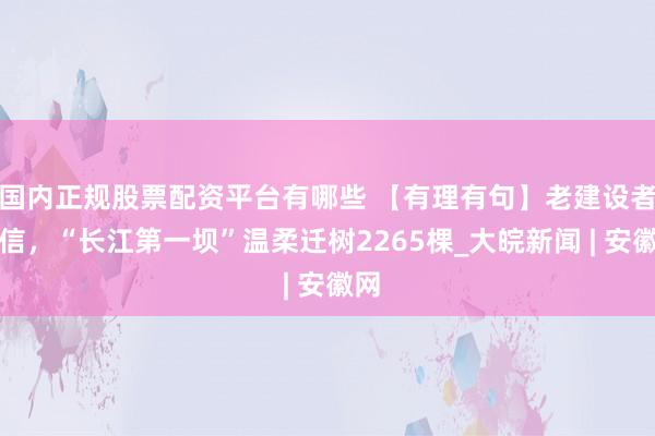 国内正规股票配资平台有哪些 【有理有句】老建设者来信，“长江第一坝”温柔迁树2265棵_大皖新闻 | 安徽网